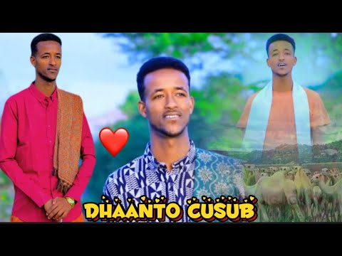 DHAANTO CUSUB AROOS AL FANANAN ILYAAS ABDI AHMED VIDEO 2024 OFFICIAL
