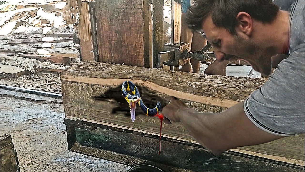 unexpected surprise while sawing old teak logs at the sawmill - YouTube