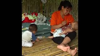 A Single Mom’s Daily Struggle 💔 Harvesting Amaranth & Cooking to Raise Her Children
