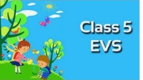 Class - 5. EVS . Chapter - 5 let