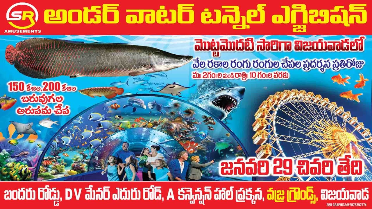 vijayawada under water aqua tunnel exhibition YouTube