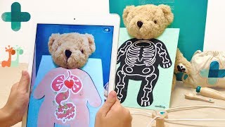 ARアプリ クマのお医者さんごっこ / AR Teddy Bear , Your Augmented Reality Bear : Seedling Parker