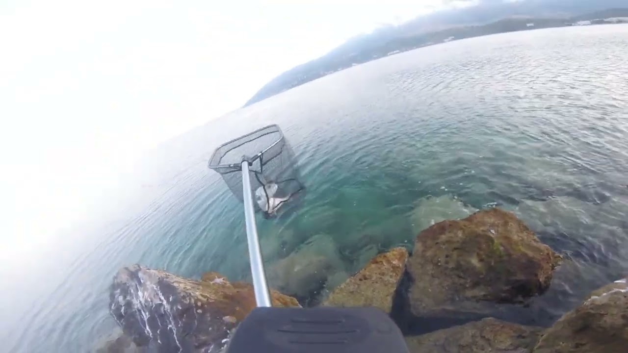 Lerfish spinning-Mitko