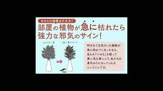 書籍『悪い気は植物が吸ってくれる』紹介イラスト動画 飛鳥新社 神棚 榊 #shorts