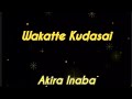 🎵 Wakatte Kudasai - Akira Inaba