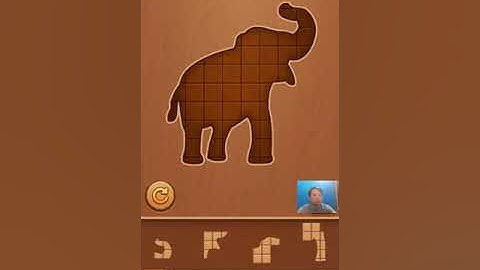 Block Puzzle: Wood Jigsaw Game Level 261 - 270 Walkthrough