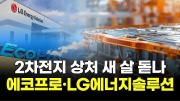2차전지 상처 새 살 돋나...에코프로·LG에너지솔루션