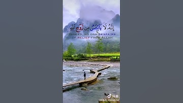 { ولا تيأسوا من روح الله } الآية 87 من سورة يوسف / القارئ خالد الجليل