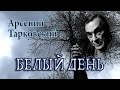 Арсений Тарковский "Белый день"