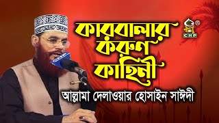 যে কাহিনী পাষাণ হ্রদয় কাঁদায় । কারবালার করুণ কাহিনী । আল্লামা দেলাওয়ার হোসাইন সাঈদী । Sayedee Waz