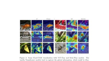Depth-Wise Convolutions in Vision Transformers for Efficient Training on Small Datasets