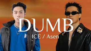 Dumb - ICE杨长青 / 艾志恒Asen【动态歌词Lyric Video】