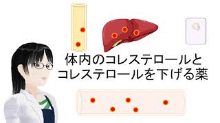 コレステロールの代謝と薬