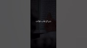 اكتب شيء تؤجر عليه 💚😴 / القارئ فارس عباد | قران كريم