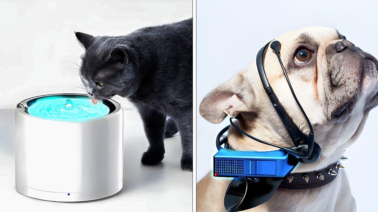 9 Cool Gadgets Every Pet Parent Will Love!