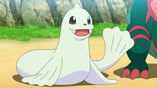 Seel And Dewgong Pokemon All Attacks