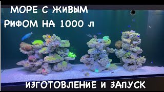 Как мы запустили Морской аквариум с живым рифом на 1000 л