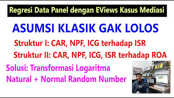 Regresi Data Panel dengan EViews Kasus Mediasi, Kasus Gak Normal