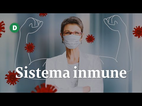 ¿Cómo se relaciona la salud mental con el sistema inmune?