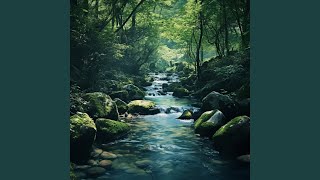 Nature's River Peaceful Echo