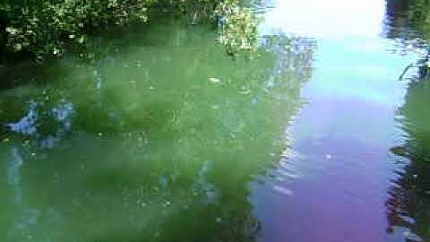 Grade 10 ESP Module 11