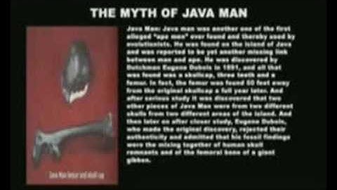 Java man the evolutionary myth