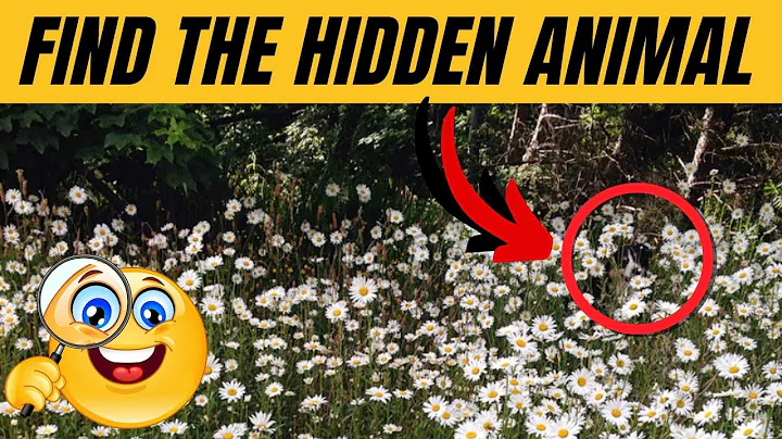 Find the Hidden Animals # 8 🐾