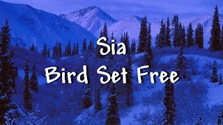 Sia - Bird Set Free (Lyrics) - Music