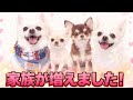 たくさん悩んで出した答え【家族が増えました】