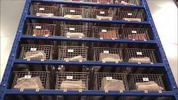 Robotic Dry-Age Storage Facility