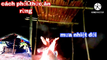 rừng mưa nhiệt đới, phơi thức ăn và dành thức ăn trong rừng mưa nhiệt đới |phúc làng tv