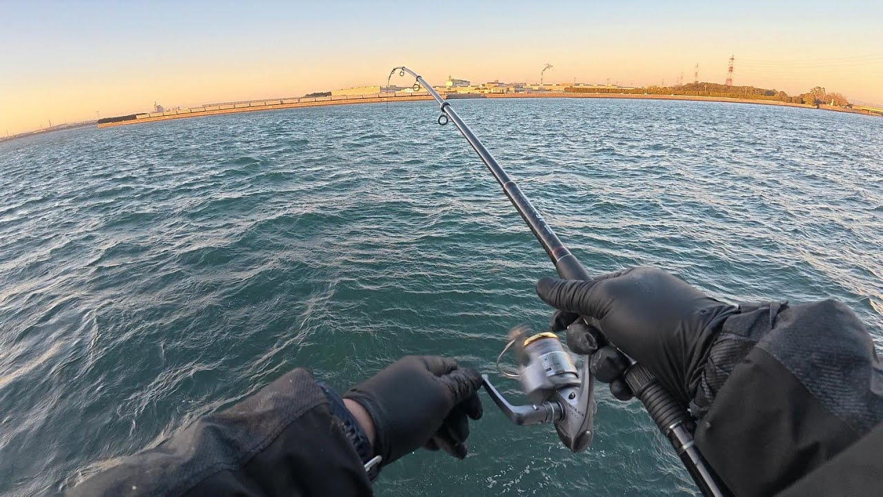 いつも満員の人気釣り公園は夕方が狙い目！サビキでコノシロ釣り！