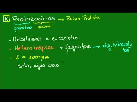 Vídeo: Qual das seguintes características descreve os protozoários?