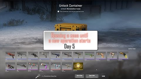 Opening a case until a new CS2 operation starts - Day 5