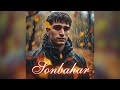Mert Ramazan Demir Sonbahar AI Cover Mert Ramazan Demir Sonbahar AI Cover