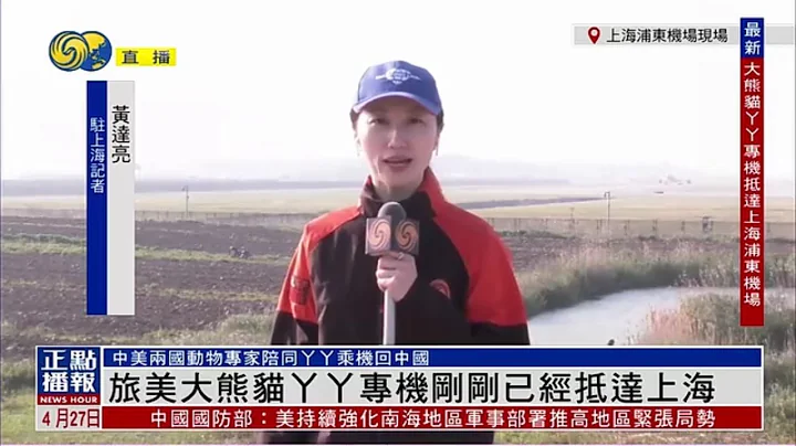 【🐼“丫丫”到家啦】旅美大熊猫“丫丫”专机抵达上海国际机场 - 天天要闻