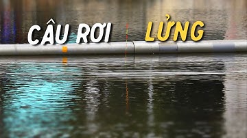 Câu Rơi Lửng Cá Trắm Đen Mới