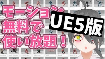 【UE4/UE5ゲーム制作講座】Mixamoでモデルとモーション使い放題！【Unreal Engine 5対応版】