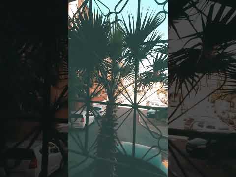 صدقة جارية لا اله الا الله صلوا على النبي اكسبلور بدر المشاري   