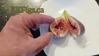 I258 Breba Fig