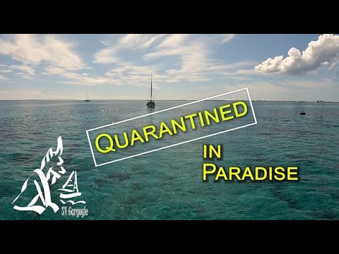 Quarantined in Paradise Ep.43