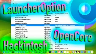 Почему Важен Launcher Option | Open Core | Hackintosh! - Alexey Boronenkov | 4K