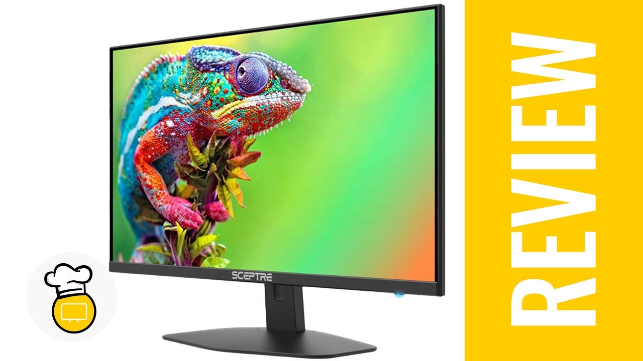 Sceptre Curved 24 Gaming Monitor 1080p up to 165Hz DisplayPort HDMI 99%  sRGB, AMD FreeSync Build-in Speakers Machine Black (C248B-FWT168) 