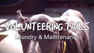 Volunteering Tails: Christine, Volunteer Laundry Assistant & Andy, Volunteer Maintenance Assistant