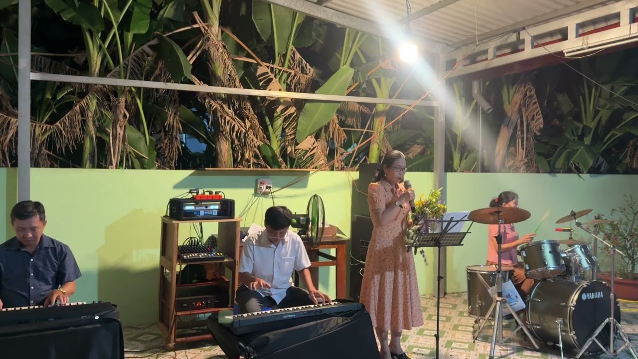 Hái trộm hoa rừng| Mỹ Trung| Văn Sử - Cao Thuật - Cẩm Hưng band 