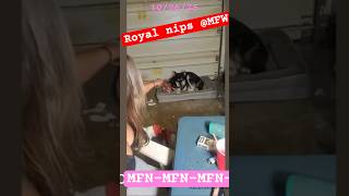 Royal nips @ MFW-she loses it on him. Poor baby💔 His food aggression is from HER bad training #mfw