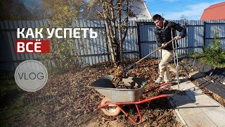 Закрываем сезон на костылях🙈 | Осенние работы на даче