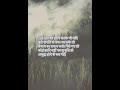 Jai Sachidanand 🙏🏻 | #ssdn #peace #life #thoughts #motivation #shorts #youtubeshorts #ytshorts