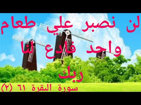 لن نصبر علي طعام واحد فادع لنا ربك سورة البقرة 61 2
