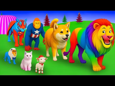 الليلة الأولى ليالي الامتحان الأخيرة ثالثة ثانوي ٢٠٢٥ مع أ محمد صلاح